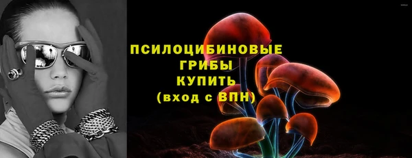 spice Алексеевка