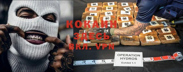 apvp Алексин