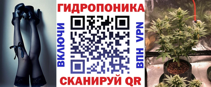 хочу   Протвино  KRAKEN как войти  Бошки Шишки VHQ 